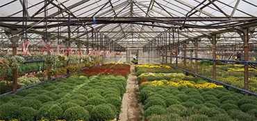 Entretenir son jardin facilement toute l’année